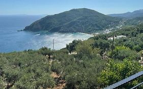 Pargas Paradise